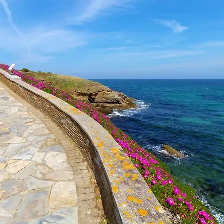 Oca Playa De & ホテル